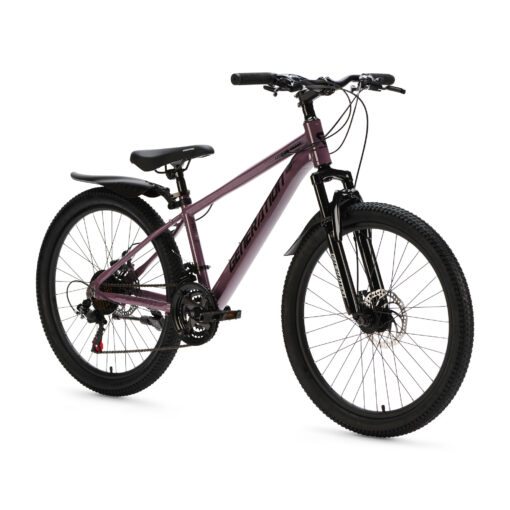 De Generation GT100 24 inch Paars is een lichte en sportieve mountainbike kinderfiets met 21 versnellingen en krachtige schijfremmen. Perfect voor actieve kinderen die klaar zijn voor langere en uitdagendere fietstochten.