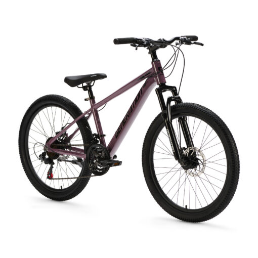 De Generation GT100 24 inch Paars is een lichte en sportieve mountainbike kinderfiets met 21 versnellingen en krachtige schijfremmen. Perfect voor actieve kinderen die klaar zijn voor langere en uitdagendere fietstochten.
